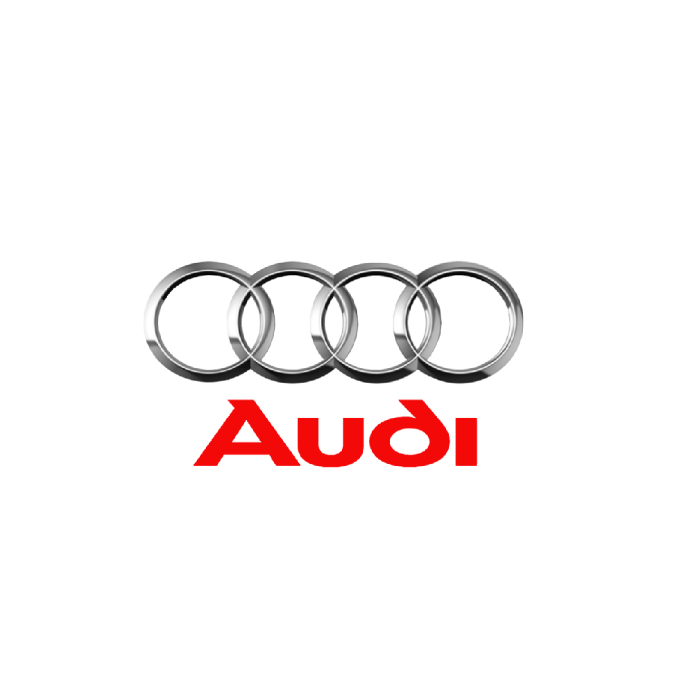AUDI PRODUCTS